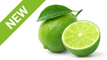 Our Isobionics experts at International Citrus Beverage Conference Our Isobionics experts at International Citrus Beverage Conference